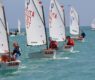 demurtas optimist 2018